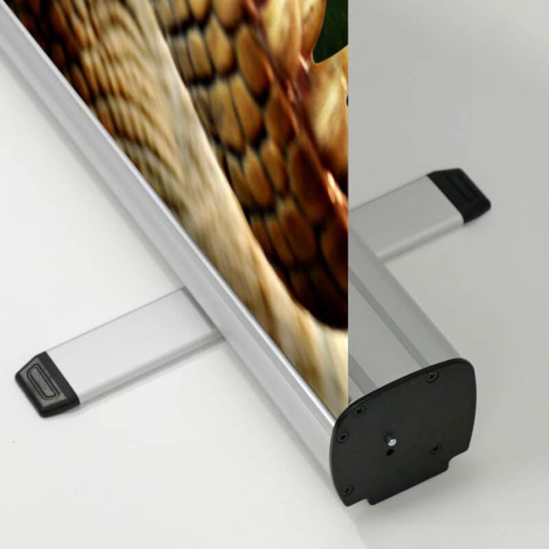 RAPTOR BANNERS - Image 2