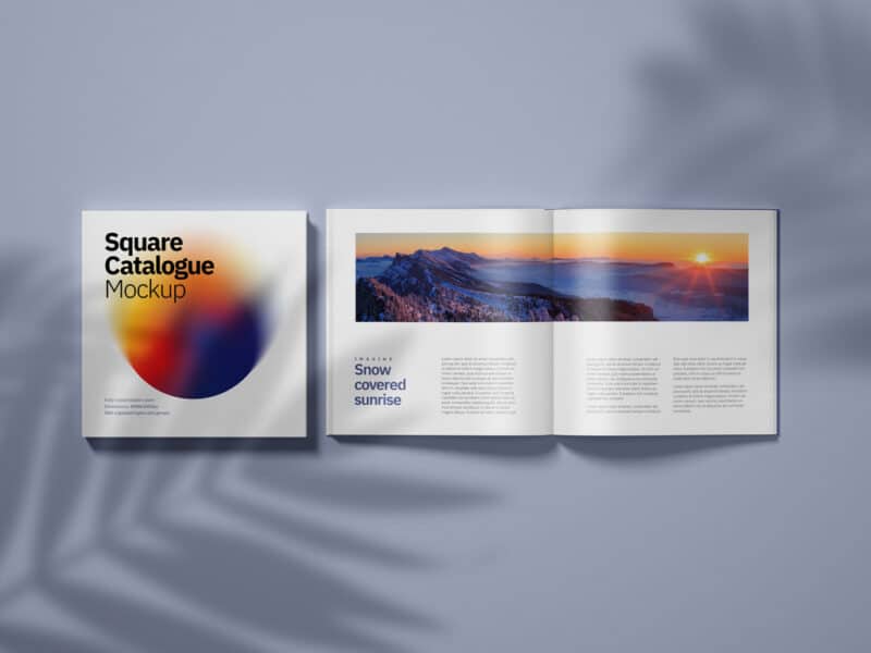 Square Half  Fold Leaflet